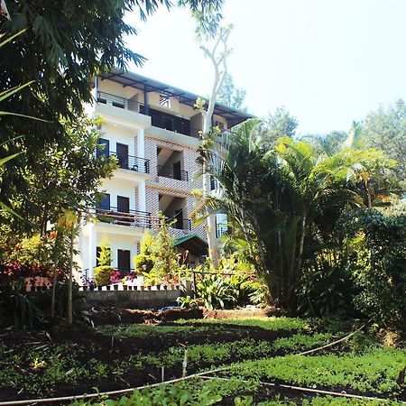 Coorg Jungle Camp Resort Suntikoppa ภายนอก รูปภาพ