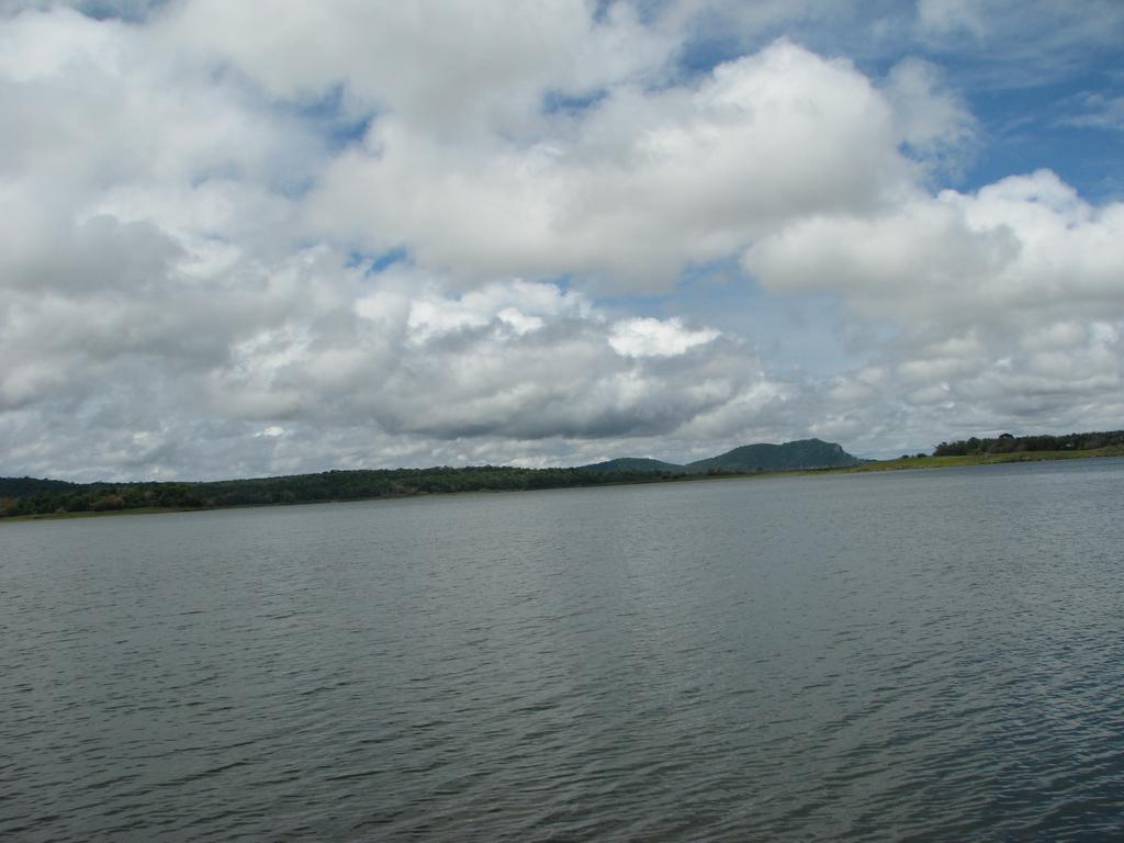 Coorg Jungle Camp Resort Suntikoppa ภายนอก รูปภาพ