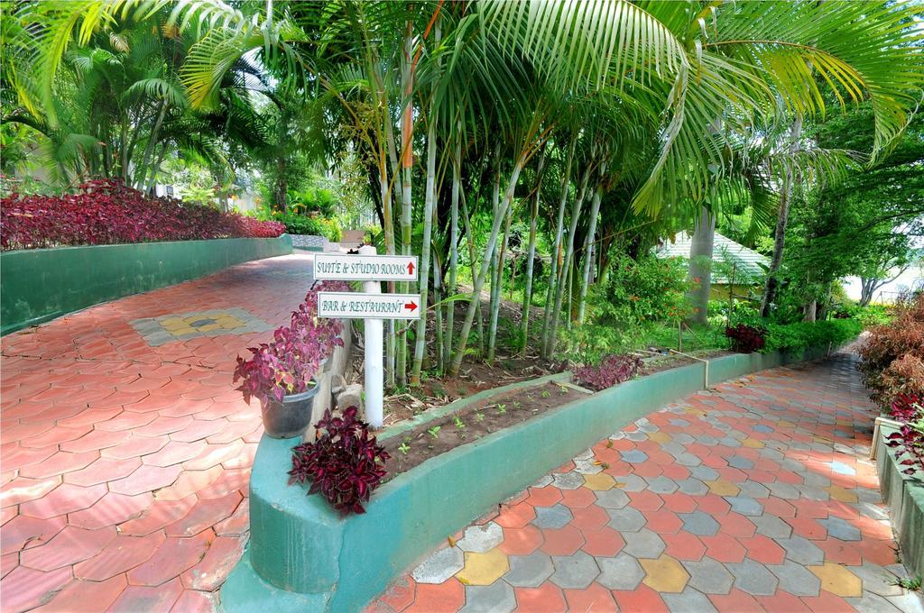 Coorg Jungle Camp Resort Suntikoppa ภายนอก รูปภาพ