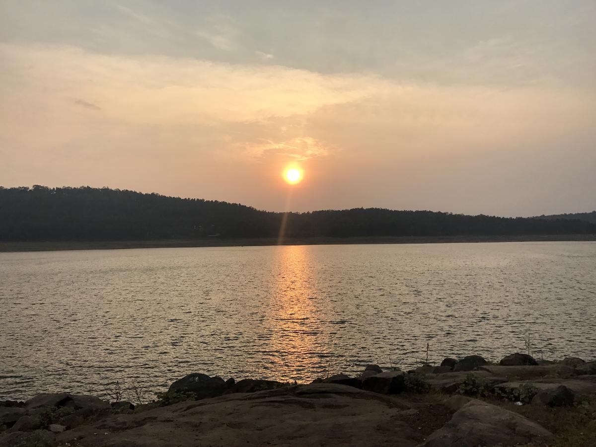 Coorg Jungle Camp Resort Suntikoppa ภายนอก รูปภาพ