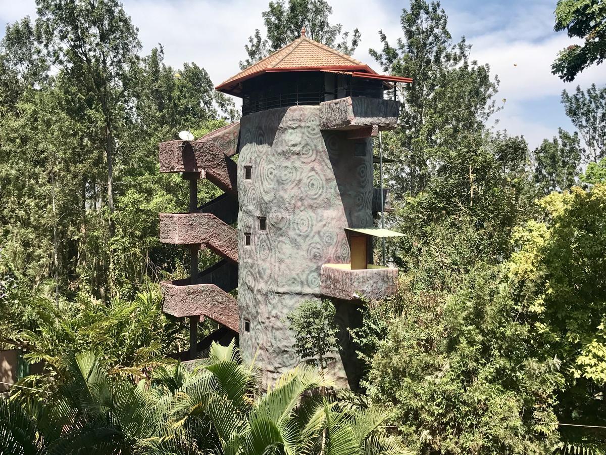 Coorg Jungle Camp Resort Suntikoppa ภายนอก รูปภาพ